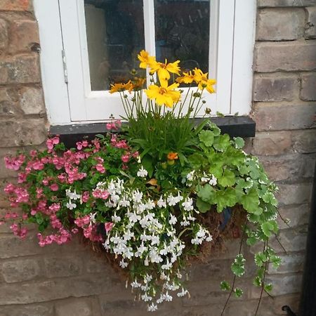 Delighful Self Catering In The Heart Of Glastonbury Eksteriør bilde