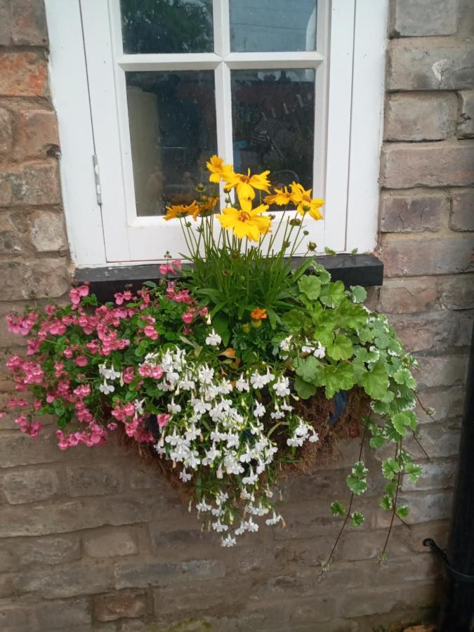 Delighful Self Catering In The Heart Of Glastonbury Eksteriør bilde