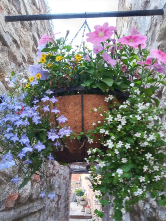 Delighful Self Catering In The Heart Of Glastonbury Eksteriør bilde